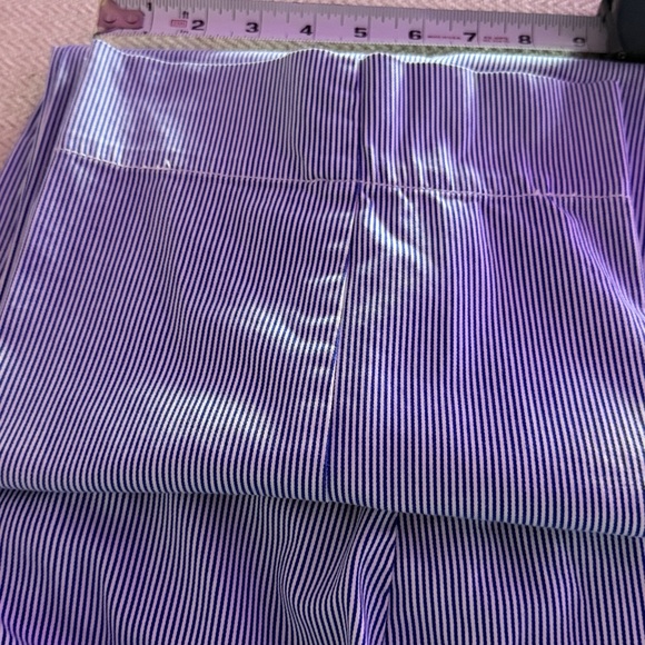 Talbots Sky Blue Ankle Pants - Picture 13 of 13